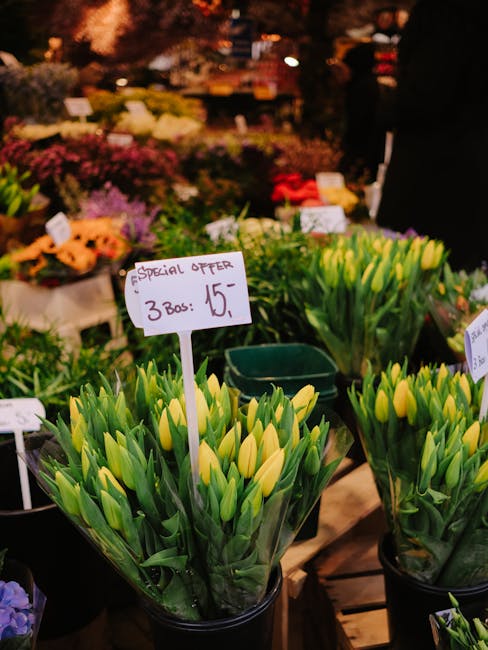 Close-up view of vibrant yellow tulips with green stems and leaves, displayed in clear plastic-wrapped bouquets at a flower market. A handwritten sign on a stick indicates a special offer of three box